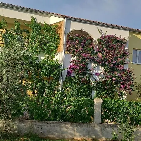 Apartamento Vranjkovic Vodice