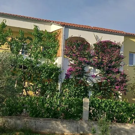 Διαμέρισμα Vranjkovic *