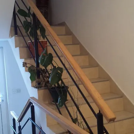 Apartmani Vranjkovic *