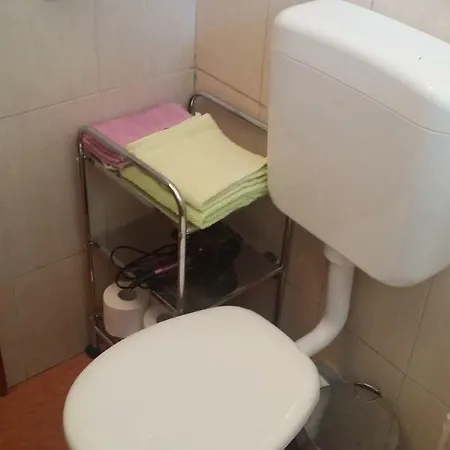 Apartament Vranjkovic *