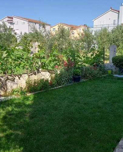 Vranjkovic 沃迪切