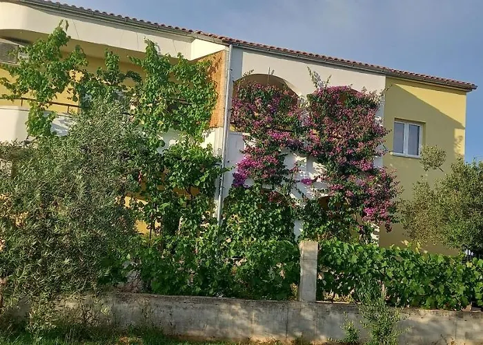 Apartment Apartmani Vranjkovic Vodice