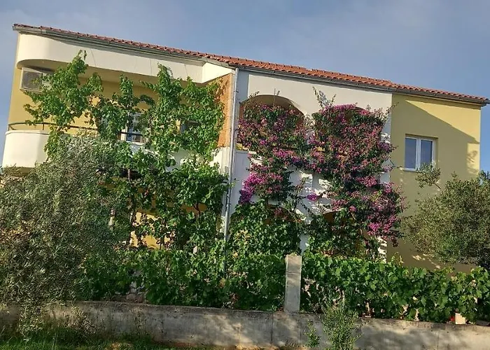 Apartment Apartmani Vranjkovic *