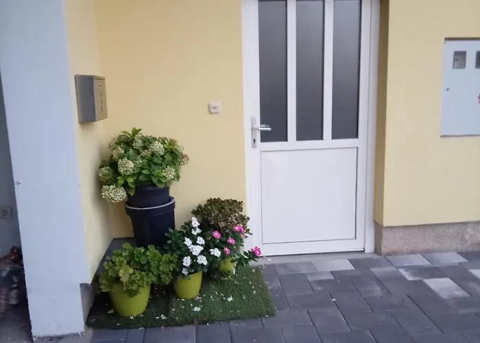 Apartmani Vranjkovic Apartment