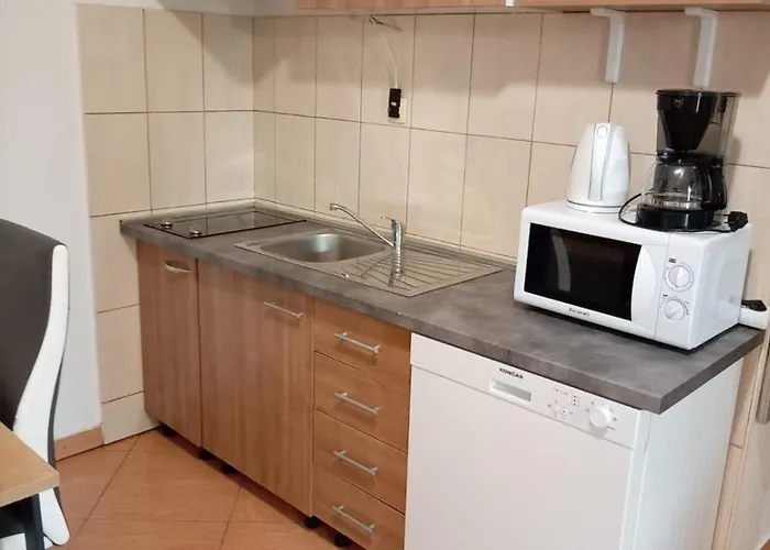 Appartement Vranjkovic *