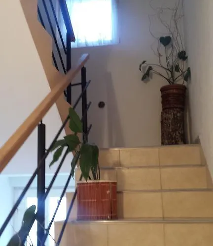 Apartment Apartmani Vranjkovic *