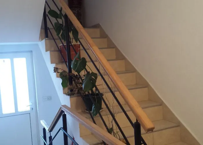 Apartmani Vranjkovic *